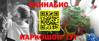 соль ск Будённовск