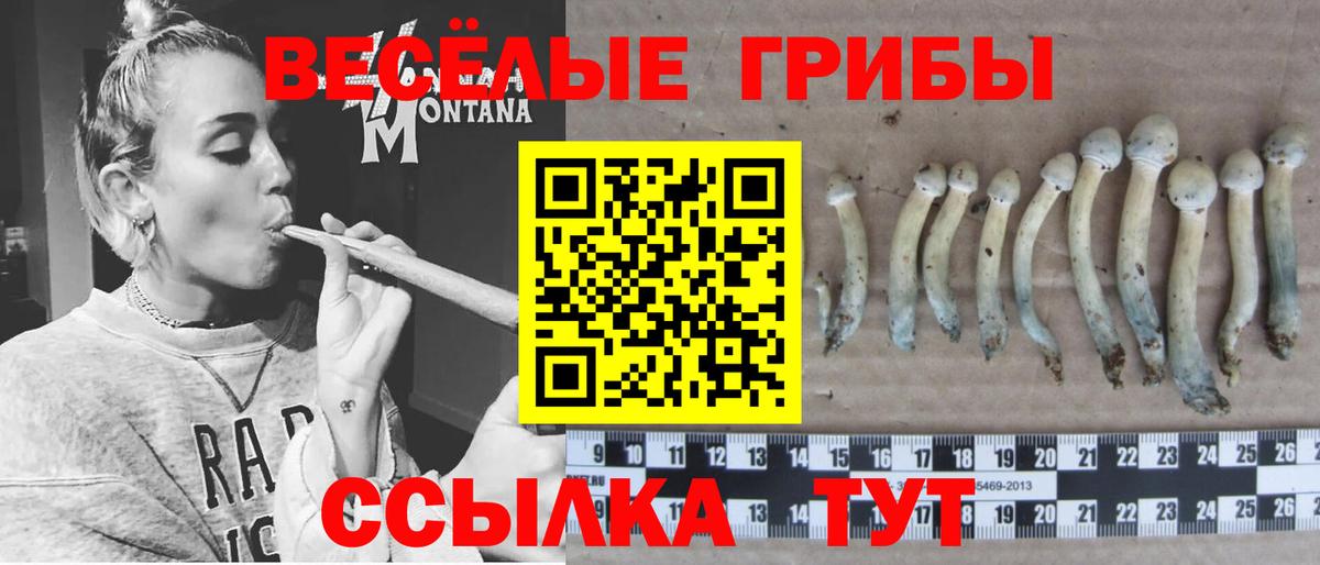 Галлюциногенные грибы ЛСД  Псилоцибиновые грибы Cubensis  Вход с VPN  Похвистнево 